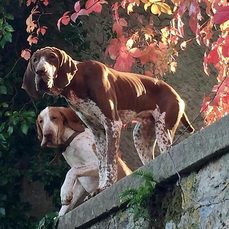 Villa Federici La Spezia Luaran gambar