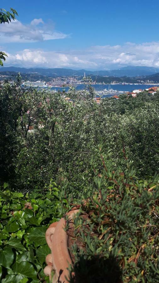 Villa Federici La Spezia Luaran gambar